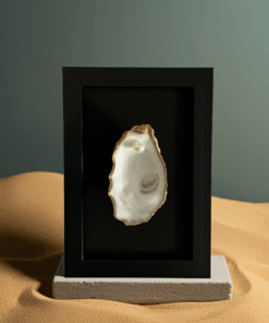 Alternative view of SKU0091